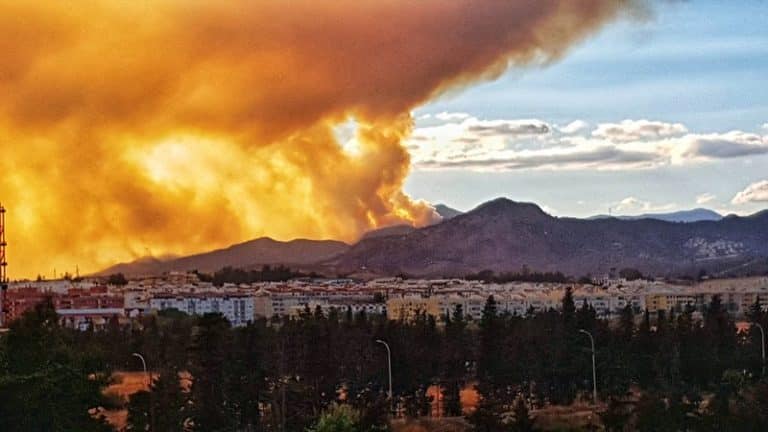 Especialistas del hospital Quirónsalud Marbella advierten de la toxicidad del humo de incendios forestales